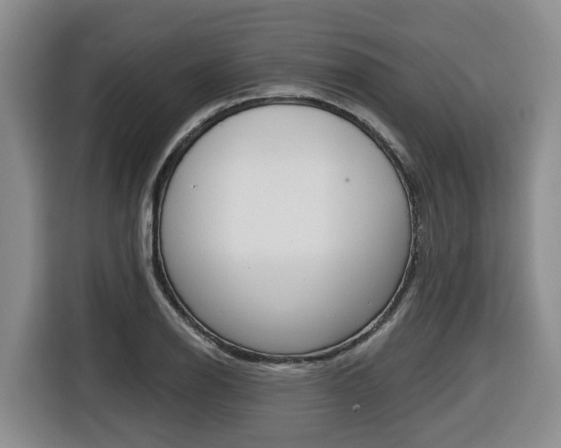 X0000116511126200912090942