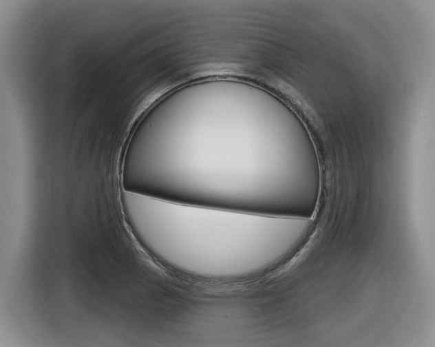 X0000116511129200912090942
