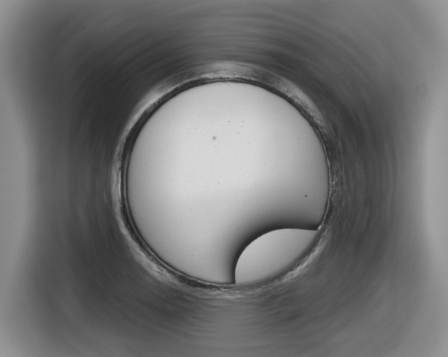 X0000116511130200912090942