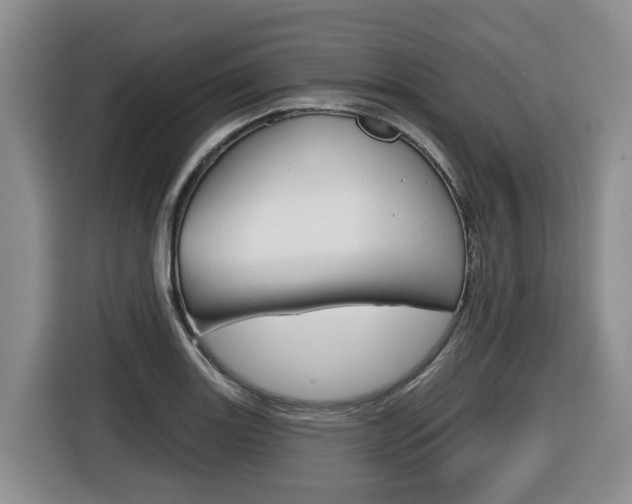 X0000116511131200912090942