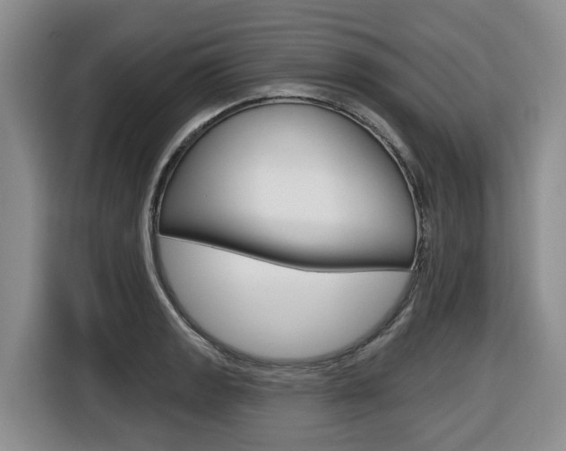 X0000116511133200912090942