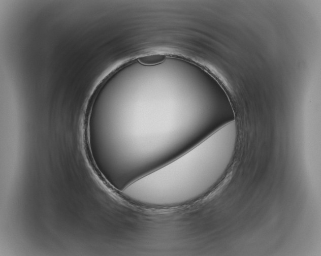 X0000116511134200912090942