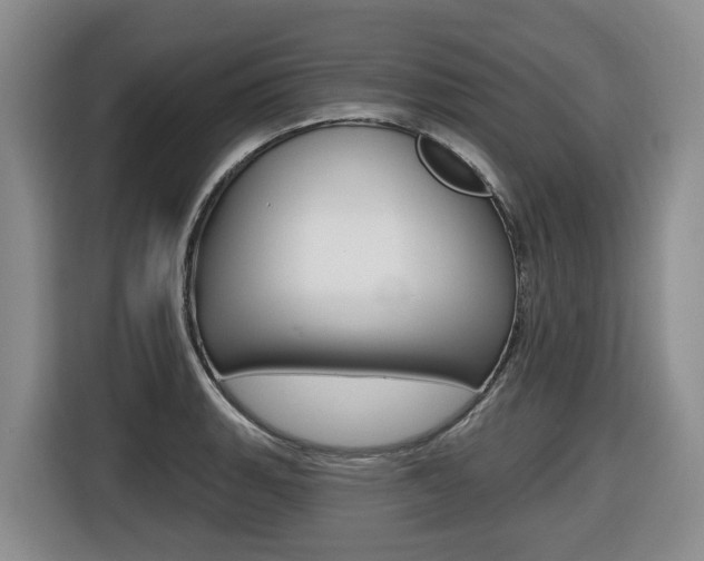 X0000116511135200912090942