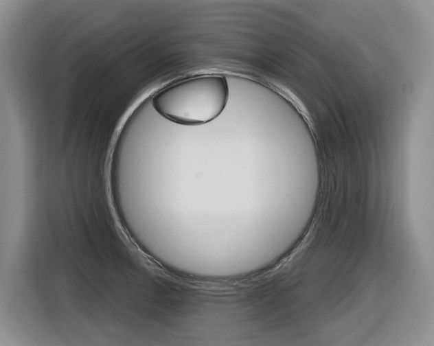 X0000116511138200912090942