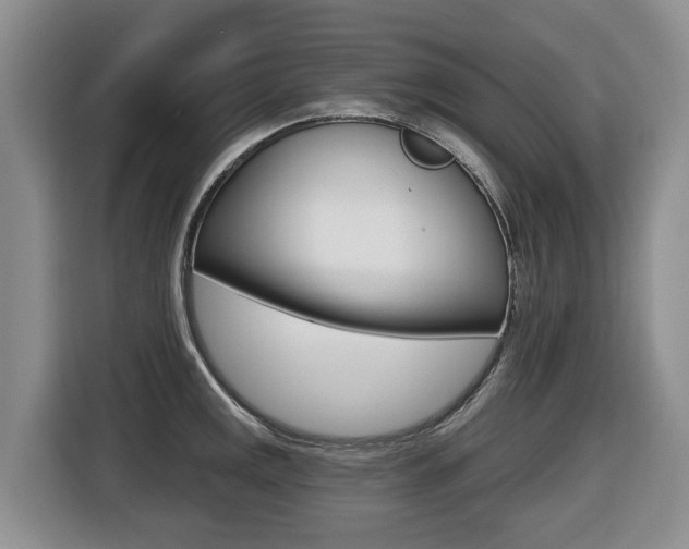X0000116511141200912090942
