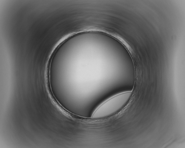 X0000116511142200912090942