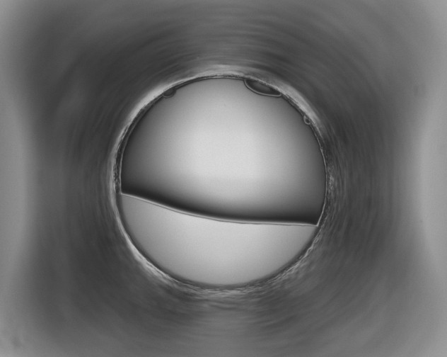 X0000116511143200912090942