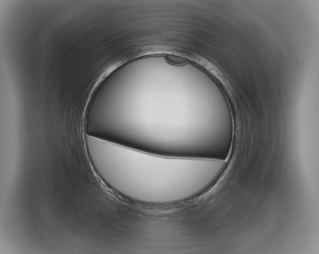 X0000116511145200912090942