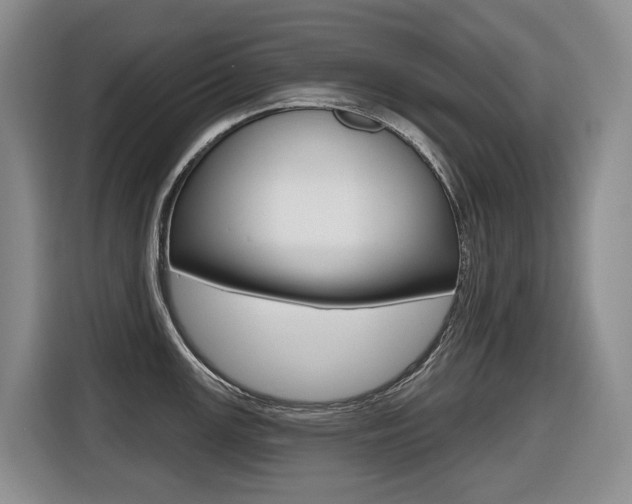 X0000116511147200912090942