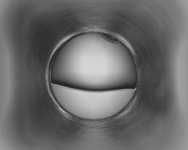 X0000116511149200912090942