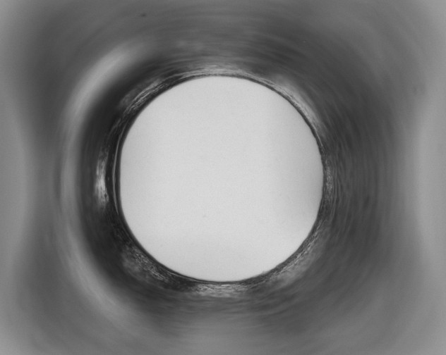X0000116511150200912090942