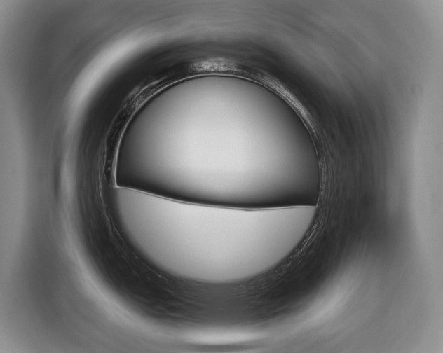 X0000116511151200912090942