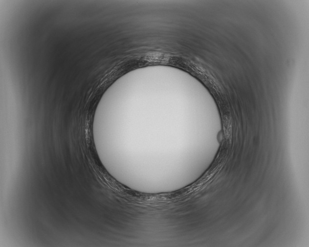 X0000116511154200912090941