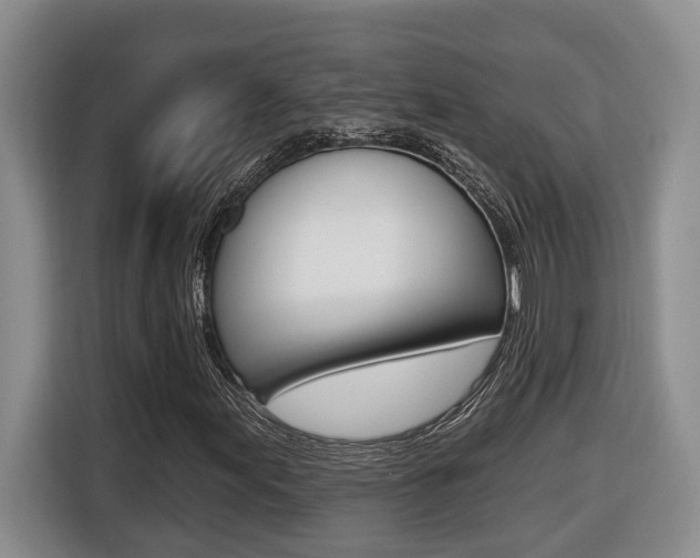 X0000116511155200912090941