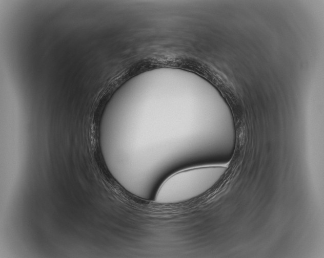 X0000116511156200912090941