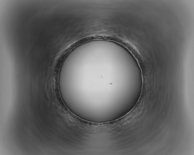 X0000116511159200912090941