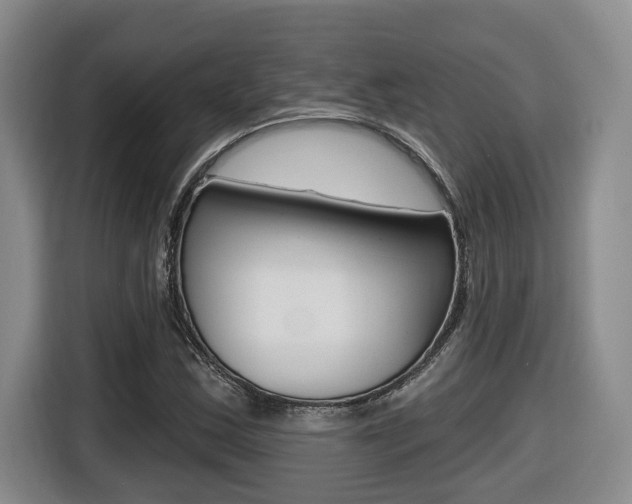 X0000116511163200912090941
