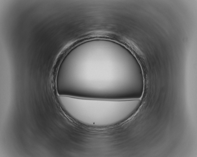 X0000116511164200912090941