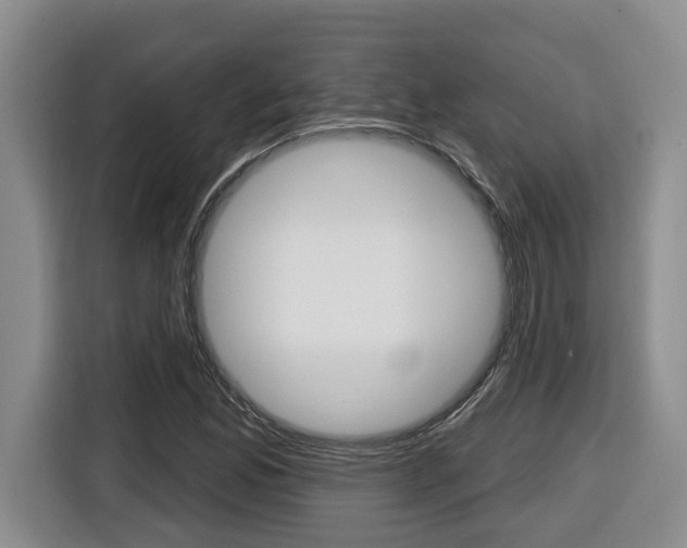 X0000116511165200912090941