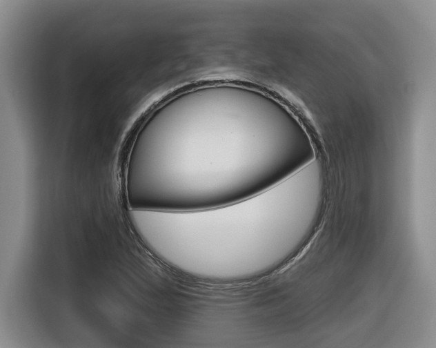 X0000116511167200912090941