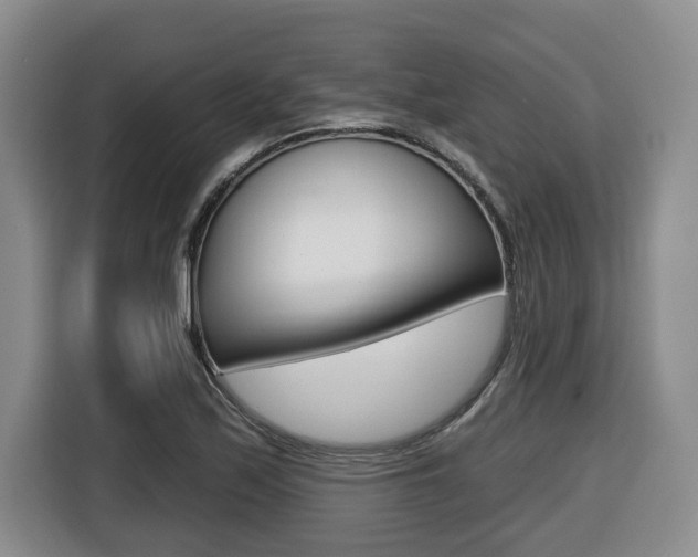 X0000116511171200912090941