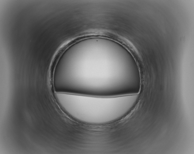 X0000116511172200912090941