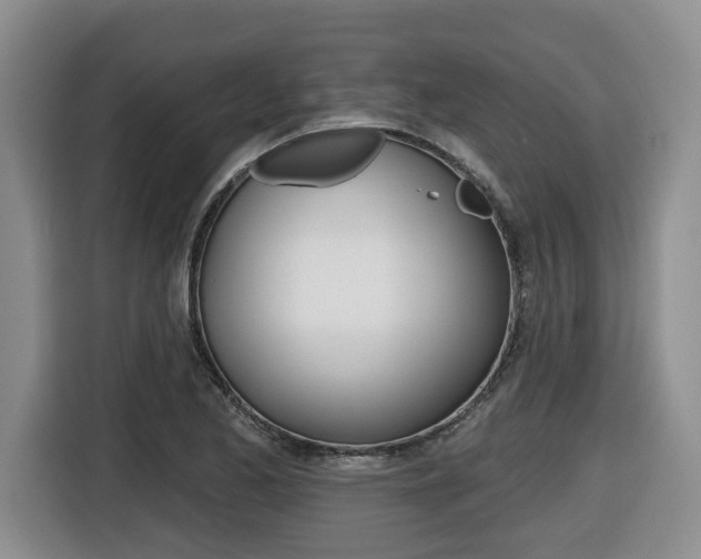 X0000116511173200912090941
