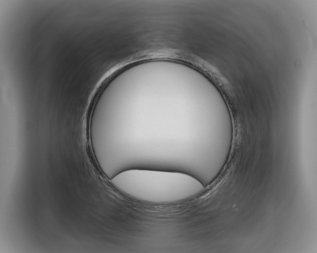 X0000116511174200912090941