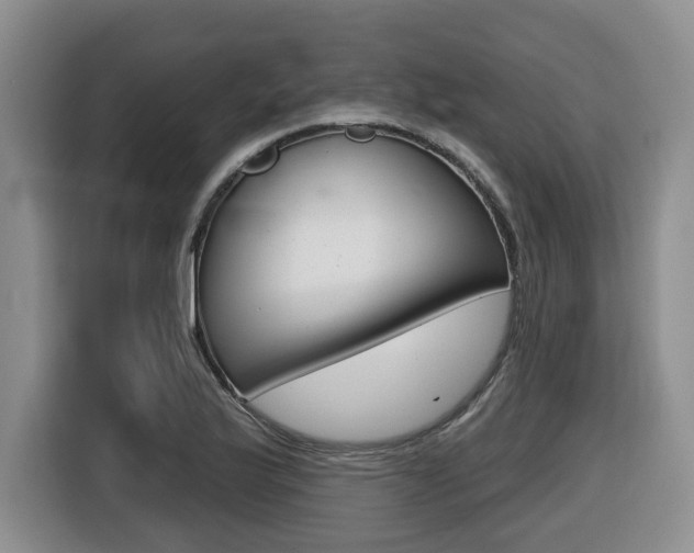 X0000116511175200912090941