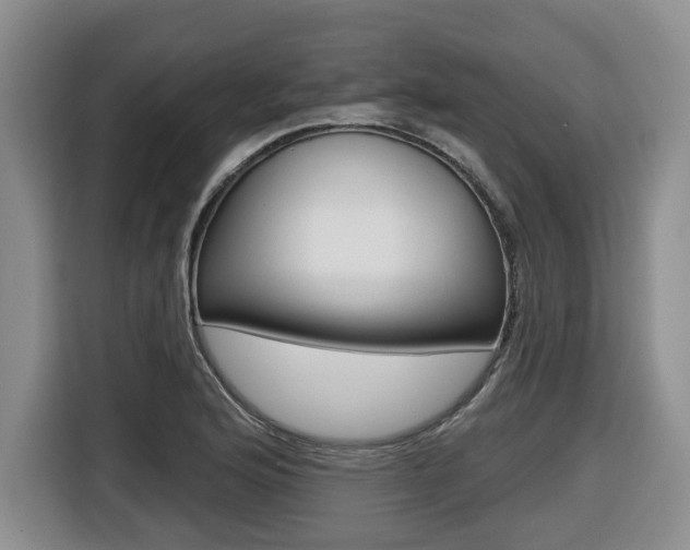 X0000116511176200912090941