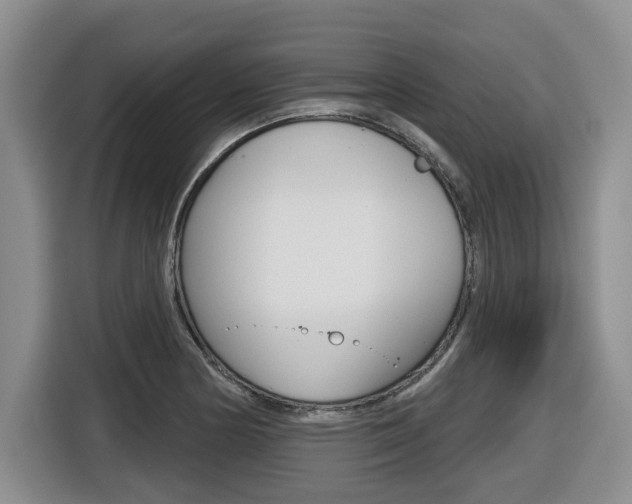X0000116511178200912090941