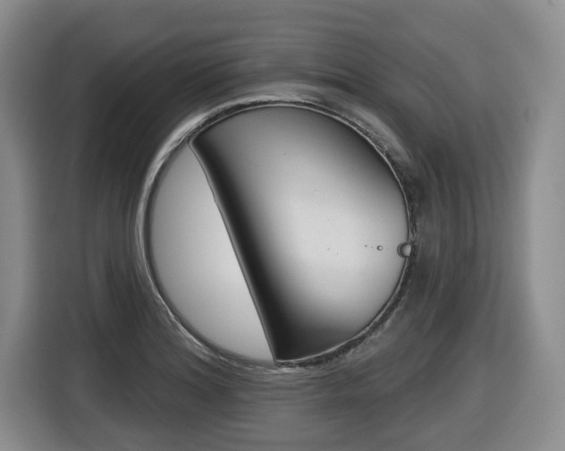 X0000116511180200912090941