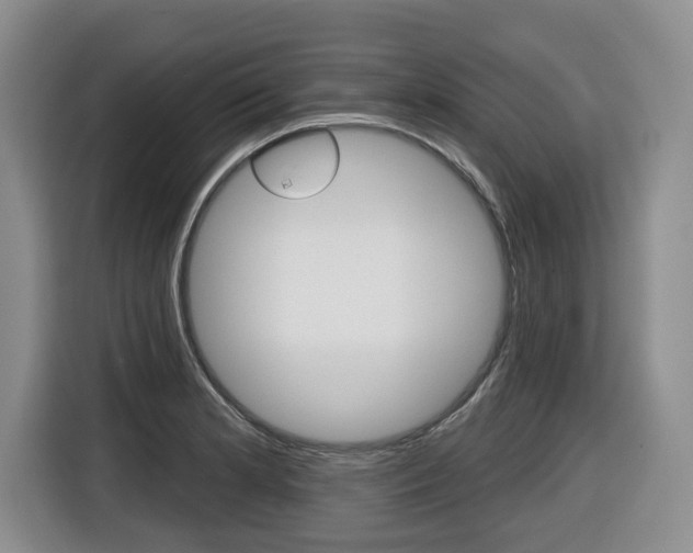X0000116511181200912090941