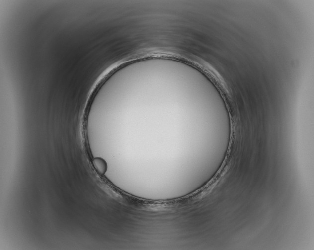 X0000116511182200912090941