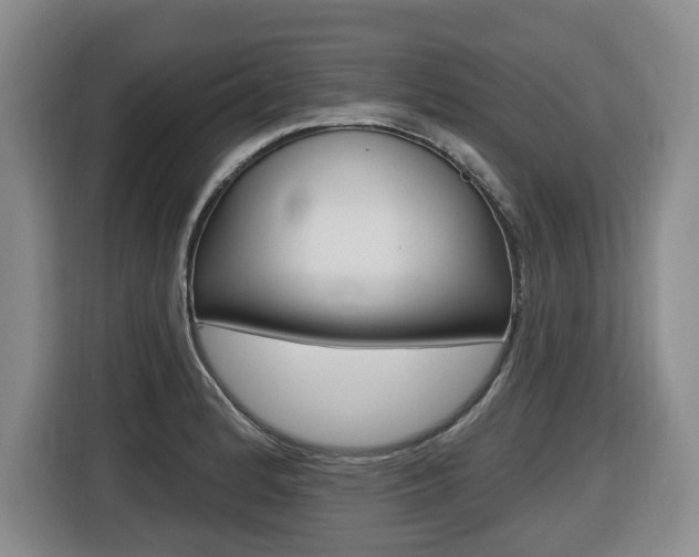 X0000116511184200912090941