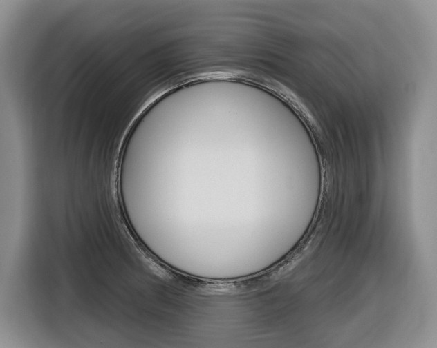 X0000116511186200912090941