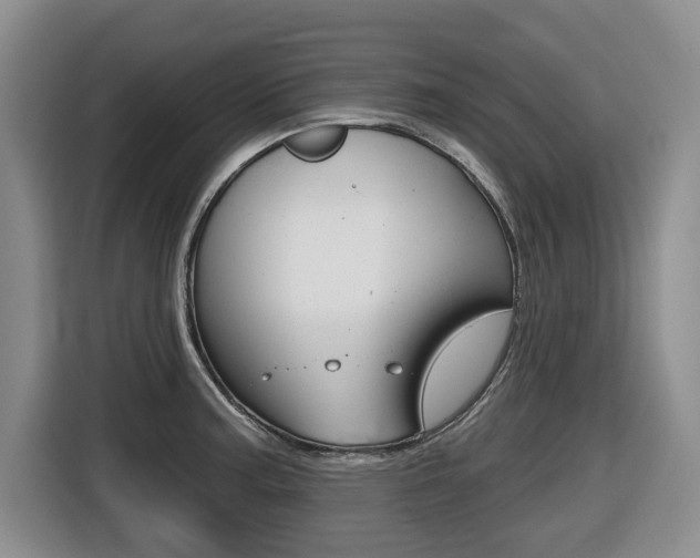 X0000116511187200912090941