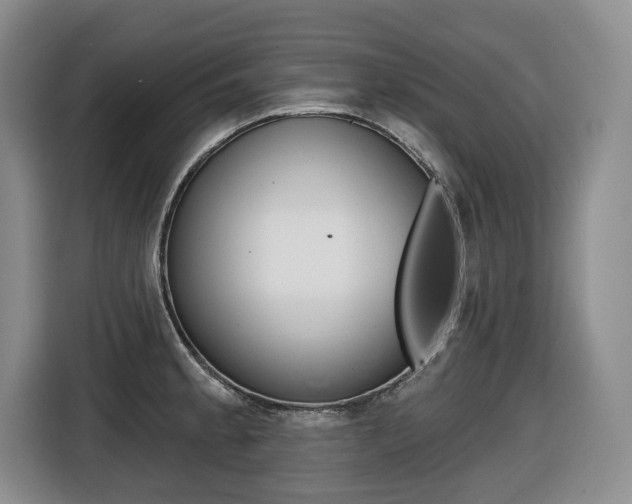 X0000116511189200912090941