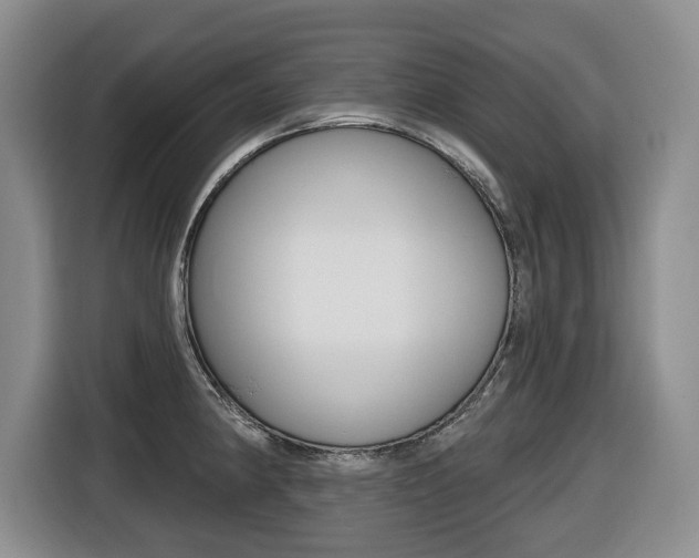 X0000116511190200912090941