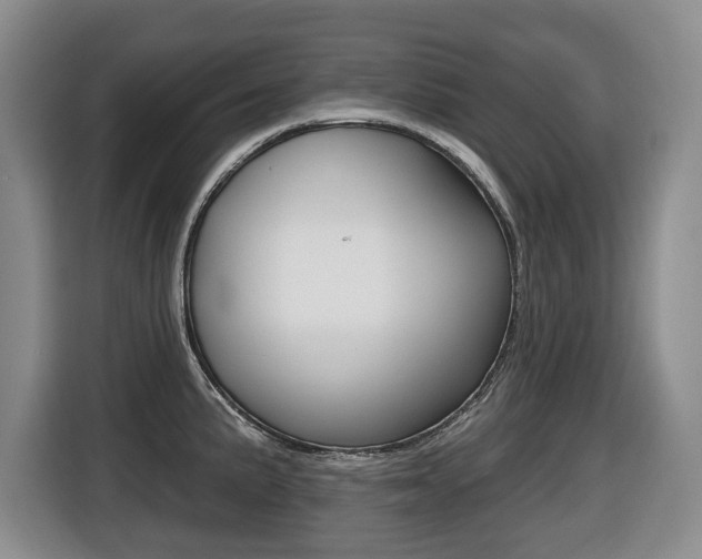 X0000116511191200912090941