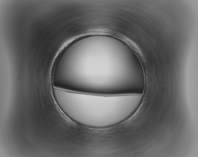 X0000116511192200912090941