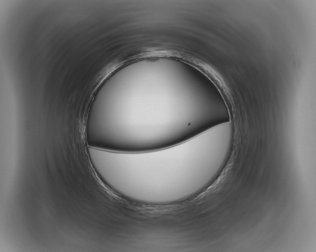 X0000116511193200912090941