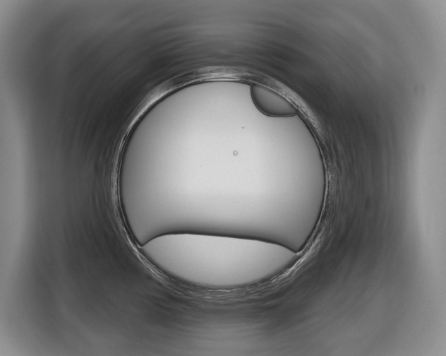 X0000116511194200912090941