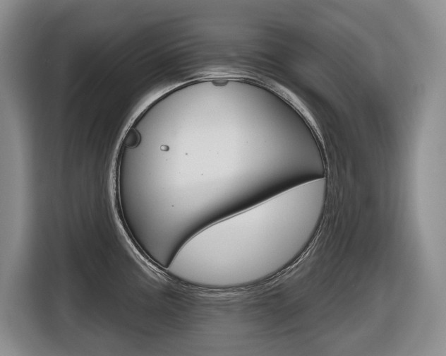 X0000116511195200912090941