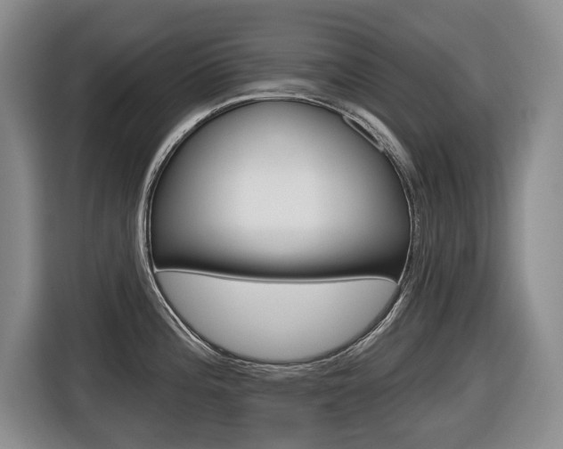 X0000116511196200912090941