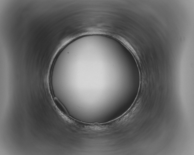 X0000116511197200912090941