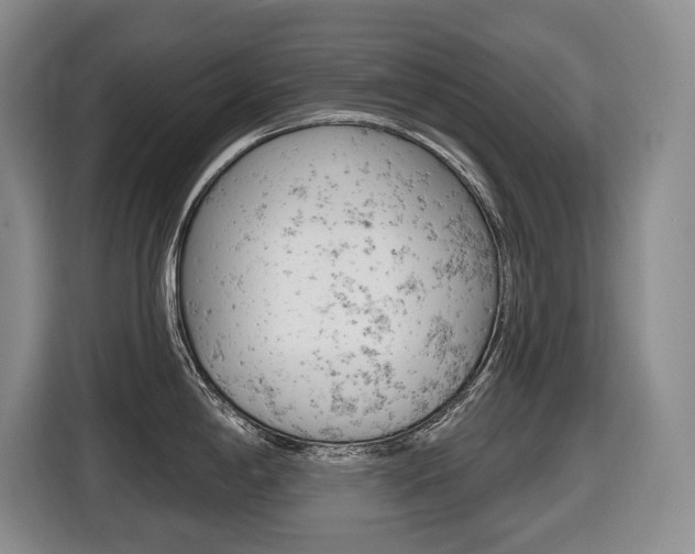 X0000116511198200912090941
