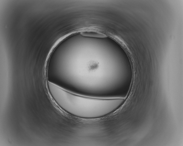 X0000116511200200912090941