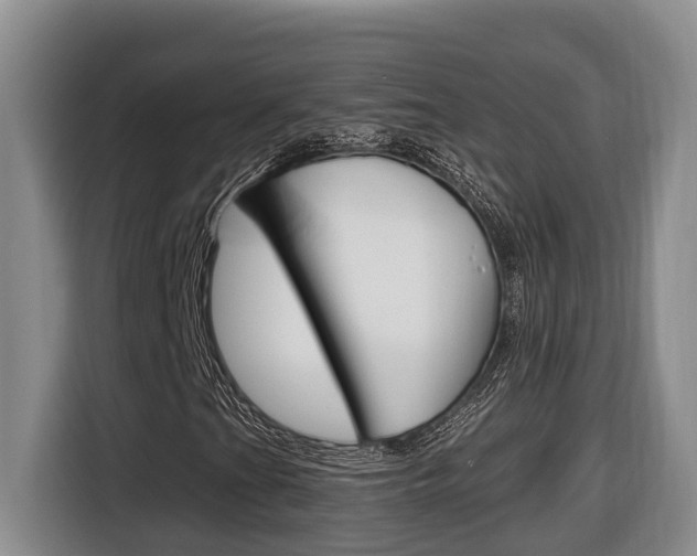X0000116511201200912090940