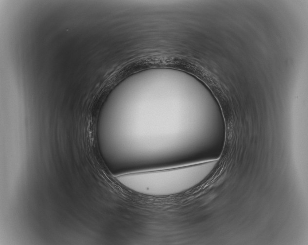 X0000116511202200912090940